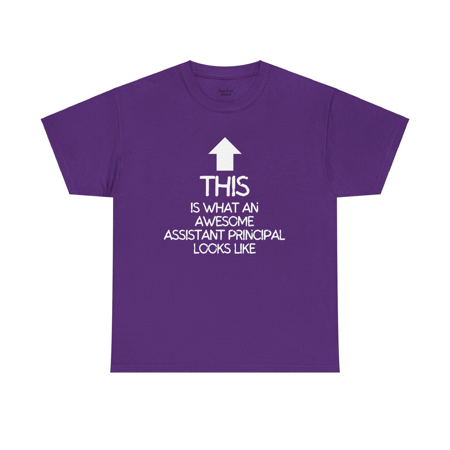 Awesome Assistant Principal Tee-Shirt