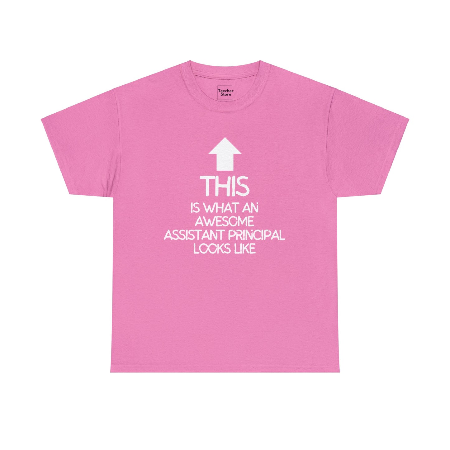 Awesome Assistant Principal Tee-Shirt